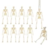 10 Pcs Esqueleto Pequeño para Halloween, Cuerda de Cáñamo, Decoración para Fiestas Y Accesorios de Casas Encantadas, juguete de decoración de calaveras, adecuado para decoración de