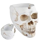 Vesone Cenicero Calavera,Cigarrillos Resina para Coche - Figuritas Calaveras góticas, esculturas Cabeza, Regalos habitación, decoración Halloween, para niños y Adultos