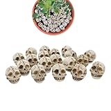 Genérico Figura De Calavera - 20 Figuras De Cráneo Pequeñas | Juguetes para Bromas Manualidades Accesorios para Cosplay Casa Embrujada Decoración De Mesa Estantería Hogar