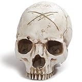 Réplica de tamaño real realista anatomía humana cráneo gótico Halloween decoración ornamento anatómico médico enseñanza esqueleto (blanco)