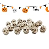 Genérico Cráneo de Esqueleto - Set De 20 Piezas Decoración De Calavera para Hogar,Juguetes Broma Halloween para Hogar Estantería Escritorio Casa Encantada y Semana Santa