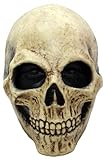Ghoulish Productions - Máscara Terror Cráneo, Línea Calaveras, Disfraz de Látex resistente, pintada a mano, Halloween, Miedo, Desfile de Carnaval, Fiesta de Disfraces, Talla única adulto.