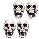 Toyvian 4 Piezas Adorno De Calavera Cabeza De Calavera Calaveras De Plastico Cráneo Ornamento Cabezas De Calavera De Plastico Pequeño Cráneos Hueso del Cráneo Artificial Mini Bulto Juguete