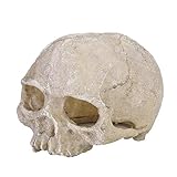 Pssopp Adornos de calavera de resina para acuario, decoración de esqueleto de cabeza artificial, pecera, decoración decorativa, cueva, paisaje, terrario, reptil