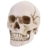 Happyyami Tamaño Natural Cráneo Humano Modelo 1: 1 Ornamento de Cráneo de Resina Cráneo Humano Cabeza Hueso para Halloween Artesanía Decoración Bocetos Suministros