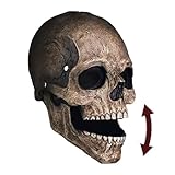 Original Cup Máscara de calavera con mandíbula extraíble | Disfraz de Halloween para adulto | Resistente al látex y agradable de llevar | Calavera 100% Horror | 100% Diversión
