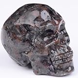 QLRSUXN Calavera de Cristal de obsidiana Negra (Piedra de yooperlita de Llama)