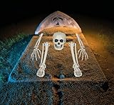 FIESTAS GUIRCA | Set Huesos Esqueleto (5 Piezas) - Decoración de Halloween para Fiestas de Disfraces - Calaveras y Esqueletos - Ideal para Ambientes Terroríficos - Blanco