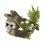 Blue Ribbon Adorno de Madera de Palisandro con diseño de Calavera de polirresina con Plantas, pequeño